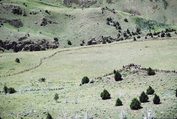 p138 Nevada 1989 unknown